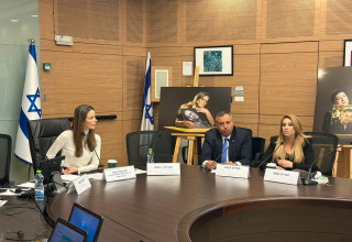 הוועדה לקידום מעמד האישה בדיון על משפחות חטופים חללים (צילום: ללא קרדיט)