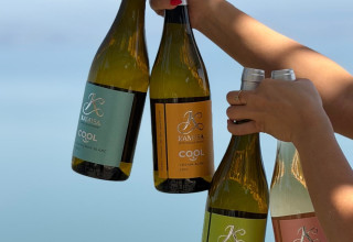 יקב כמיסה (צילום: studio Y&E)