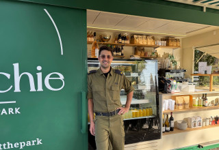 פרנצ׳י - גל פרץ  (צילום: יח"צ)