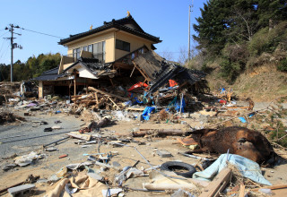 רעידת אדמה ביפן (ארכיון) (צילום: שאטרסטוק)