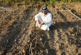 חקלאי בעיראק (צילום: רויטרס)