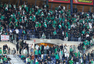 אוהדי מכבי חיפה (צילום: דני מרון)