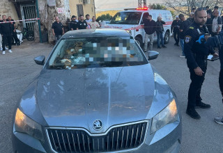 זירת הרצח בגליל (צילום: תיעוד מבצעי מד"א)