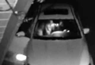 תקיפת הדוב (צילום: צילום מסך)