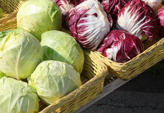 כרוב אדום וכרוב לבן (צילום: שאטרסטוק)