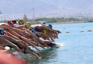  (צילום: אתר רשמי, גור אלפנדרי עברון, איגוד השחייה)