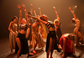 המופע HOME (צילום: דורית הופמן)