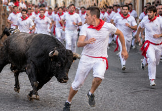 ברח משור - ומת (צילום: AI)