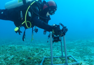 ניטור ים התיכון לשנת 2024 (צילום: גיא רענן, המכון לחקר ימים ואגמים לישראל)