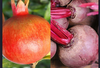 מיץ סלק או מיץ רימון?  (צילום: מכון וולקני,אינגאימג')