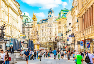 וינה, אוסטריה (צילום: שאטרסטוק)