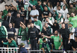 אוהדי מכבי חיפה בבלומפילד. למצולמים אין קשר לנאמר בכתבה (צילום: קובי אליהו)