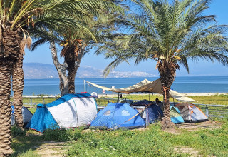 נופשים בכינרת (צילום: אושרי בן דור, איגוד ערים כינרת)