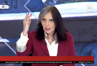 יוליה שמאלוב-ברקוביץ' (צילום: צילום מסך ערוץ 14)