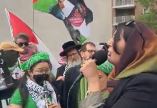 מפגינים לציון "יום הנכבה" בניו יורק (צילום: צילום מסך)