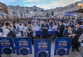 תפילה בכותל לציון "יום השחרור וההצלה" (צילום: Eli Itkin)