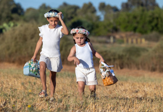 ילדות במושב ישרש נושאות סלי ביכורים לחג השבועות, 29.5.25 (צילום: יוסי אלוני פלאש 90)