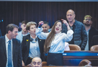 טלי גוטליב (צילום: חיים גולדברג פלאש 90)