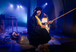 פינגווין (צילום: ז'ראר אלון)