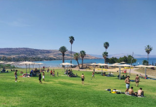 חוף צמח (צילום: צילום: נועה אלפנדרי, איגוד ערים כינרת)