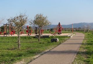 שביל הדו קיום (צילום: דרור ארצי)