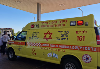 אמבולנס מד"א, ארכיון (צילום: תיעוד מבצעי מד"א)