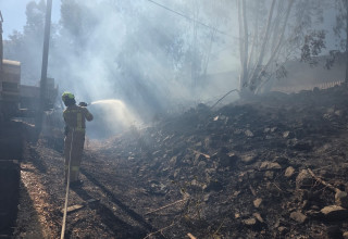 שריפה באליפלט שבצפון (צילום: דוברות כיבוי והצלה)