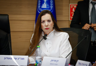 חברת הכנסת טלי גוטליב בדיון הסרת החסינות (צילום: נועם מושקוביץ דוברות הכנסת)