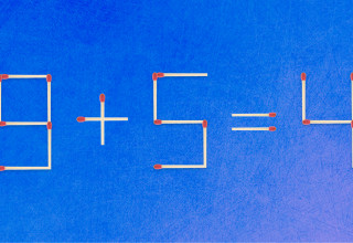 חידה (צילום: צילום מסך)