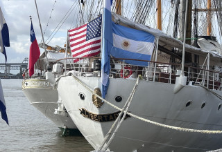 חגיגות Sail250 בניו אורלינס (צילום: רוני בוסין)
