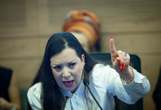 טלי גוטליב (צילום: יונתן זינדל, פלאש 90)