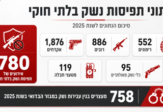 נתוני תפיסות נשק בלתי חוקי 2025 (צילום: AI)