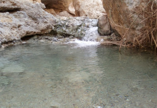 עין בוקק (צילום: גזית אגסי רשות הטבע והגנים)
