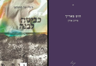 חוט מאריך, כביסה לבנה - כריכת הספרים (צילום: כריכת הספר)