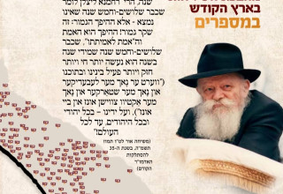 נתוני ארגון "צעירי אגודת חב"ד" (צא"ח) (צילום: יח"צ חב"ד)