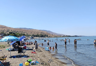 אנשים רוחצים בחופי הכנרת (צילום: איגוד ערים כנרת)