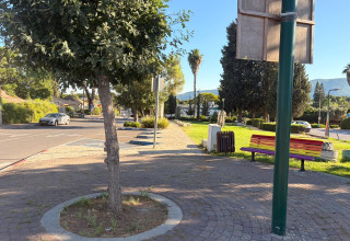 קריית טבעון  (צילום: בתיה גלעדי)