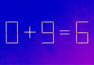 חידה (צילום: צילום מסך)