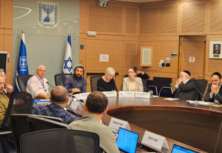 הדיון בוועדת חוץ וביטחון  (צילום: נחום פרי)