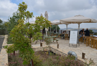 ברבהר, יער עמינדב (צילום: שלומי אמסלם, מערך ההסברה קק"ל)