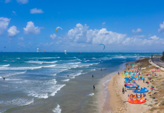 חיפה (צילום: העמותה לתיירות חיפה)