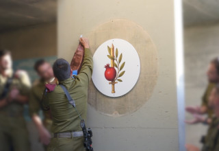 הקמת גדוד "רימון" בבה"ד 1 (צילום: דובר צה"ל)
