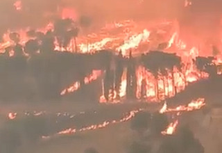 שריפת יער באיטליה (צילום: תמונה לפי סעיף 27א' לחוק זכויות יוצרים,צילום מסך רשת X)