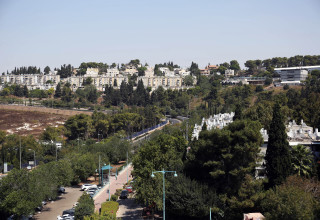 נוף הגליל (צילום: אריאל בשור)
