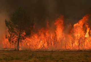 שריפה בבורדו (צילום: gettyimages)