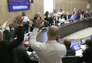 הדיון בוועדת הכספים (צילום: צילום מסך מערוץ הכנסת)