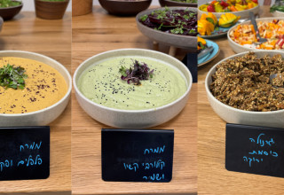 מנות ב"בריאה"  (צילום: אלבום פרטי)