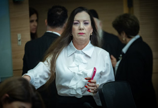 טלי גוטליב (צילום: יונתן זינדל, פלאש 90)