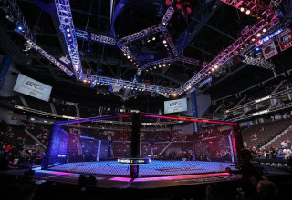 UFC, אוקטגון. אילוסטרציה (צילום: Alex Menendez)