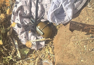 הרימון שאותר בשטח פתוח סמוך למקום שבו נעצרו שלושת הנאשמים בבת ים (צילום: דוברות המשטרה)